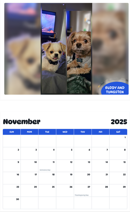 July 2025 - June 2026 Buddy and Tungsten - Pawidols Pet Calendar