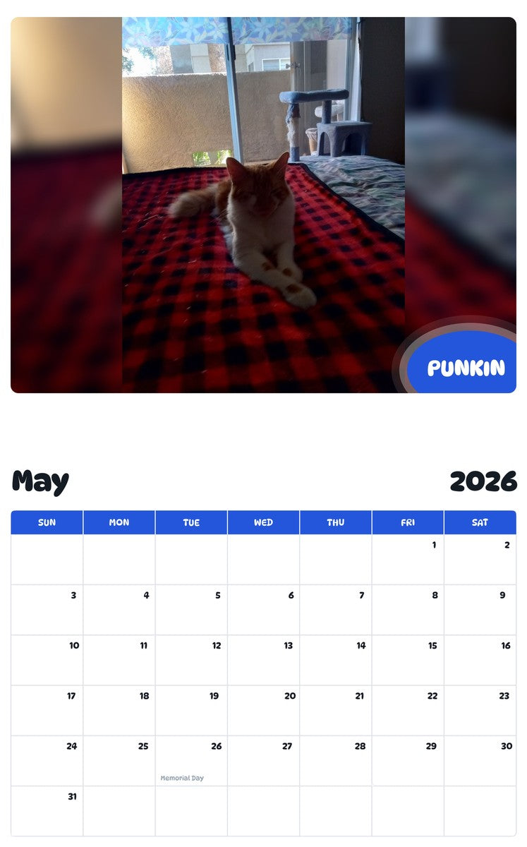 2026 - 2027 PUNKIN - Pawidols Pet Calendar