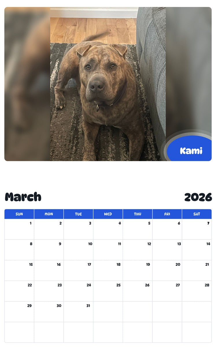 November 2025 - October 2026 Kami - Pawidols Pet Calendar