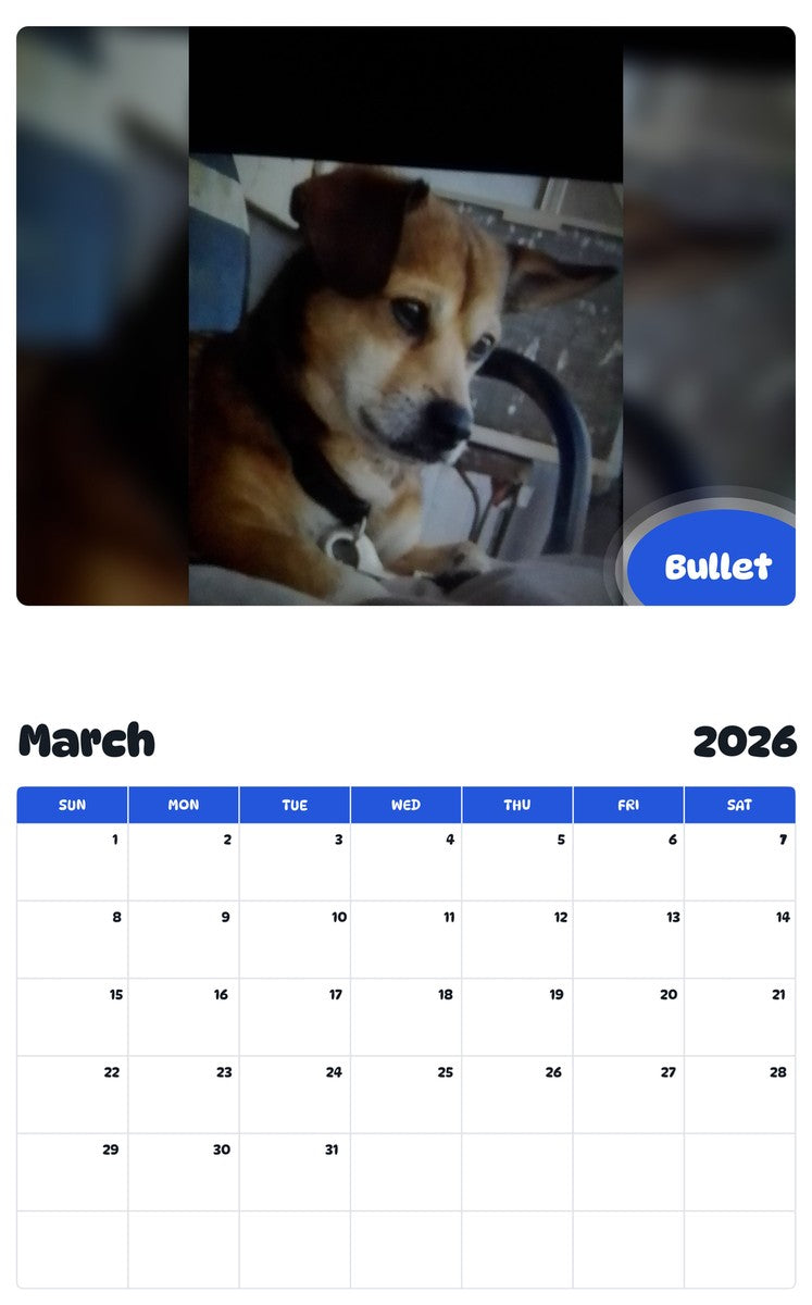 November 2025 - October 2026 Bullet - Pawidols Pet Calendar