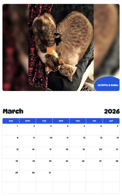 November 2025 - October 2026 Lil Kitty & Callie - Pawidols Pet Calendar