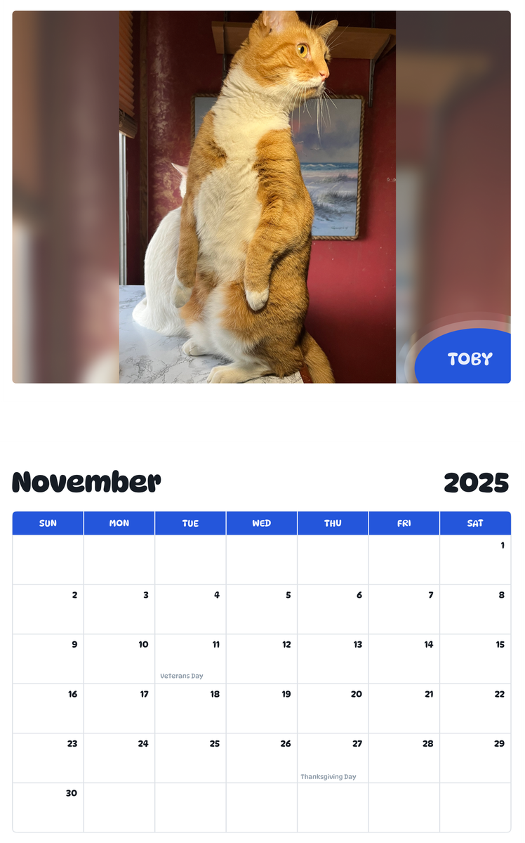 July 2025 - June 2026 Toby - Pawidols Pet Calendar