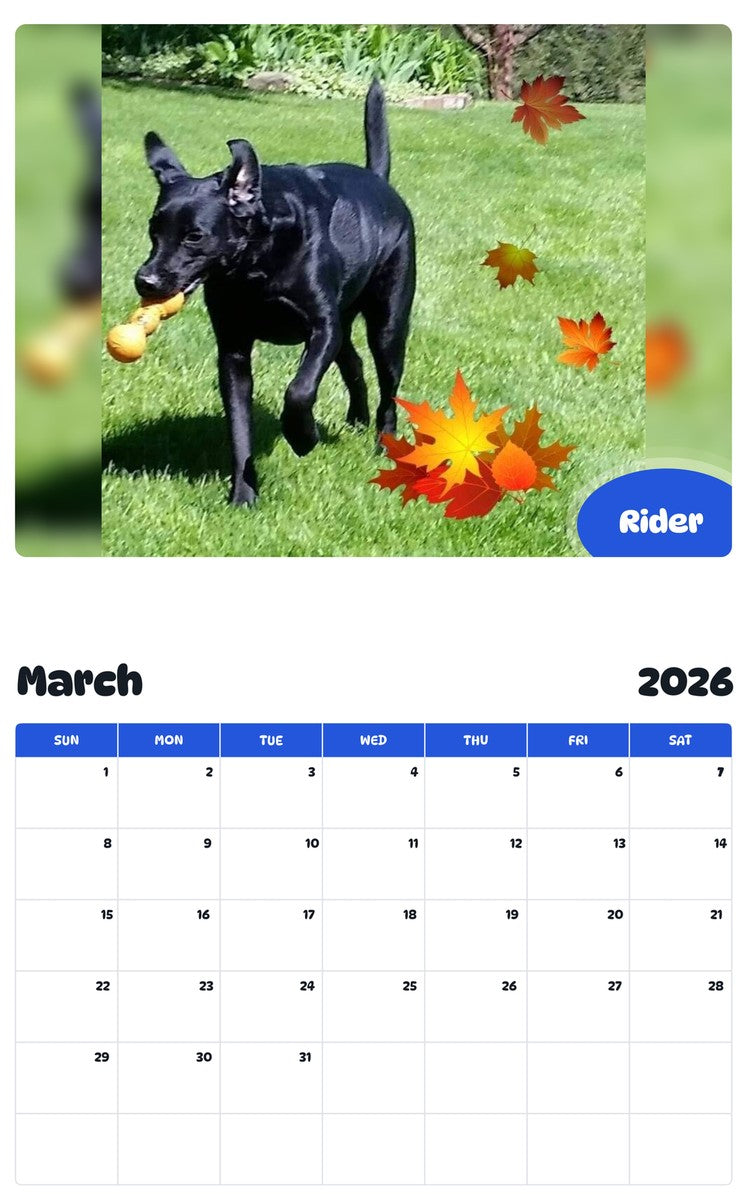 November 2025 - October 2026 Rider - Pawidols Pet Calendar