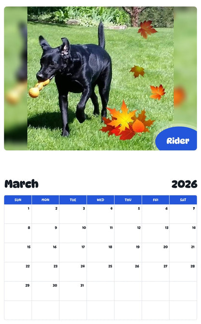November 2025 - October 2026 Rider - Pawidols Pet Calendar