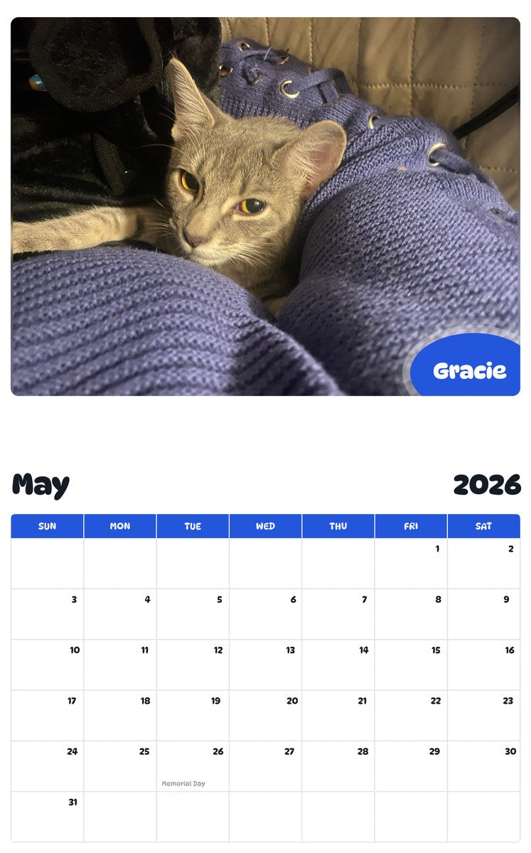 2026 - 2027 Gracie - Pawidols Pet Calendar
