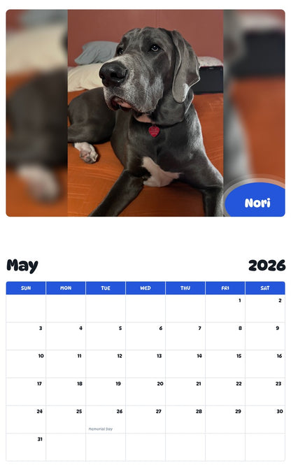 2026 - 2027 Nori - Pawidols Pet Calendar