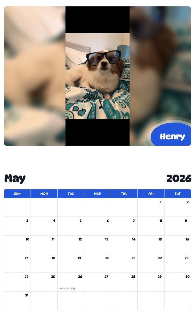 2026 - 2027 Henry - Pawidols Pet Calendar