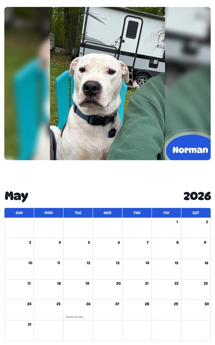 2026 - 2027 Norman - Pawidols Pet Calendar