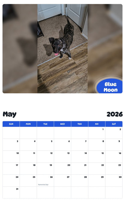 2026 - 2027 Blue Moon - Pawidols Pet Calendar