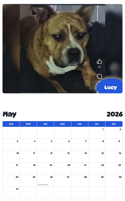 2026 - 2027 Lucy - Pawidols Pet Calendar