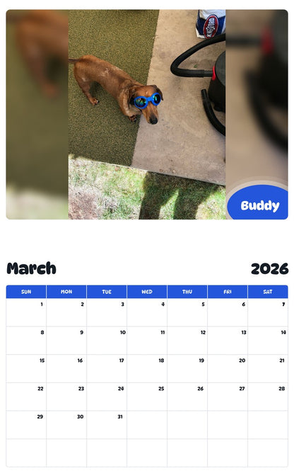 November 2025 - October 2026 Buddy - Pawidols Pet Calendar