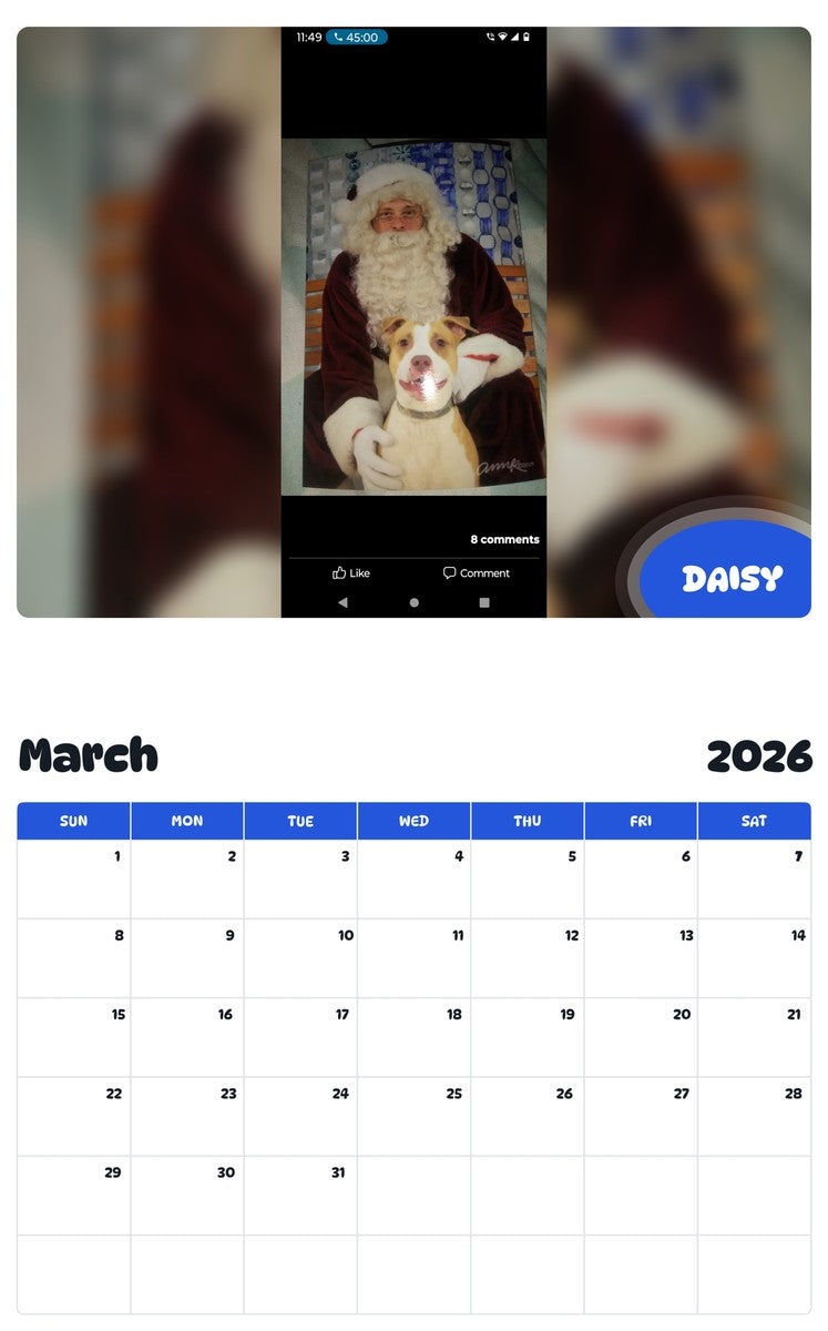 November 2025 - October 2026 DAISY - Pawidols Pet Calendar