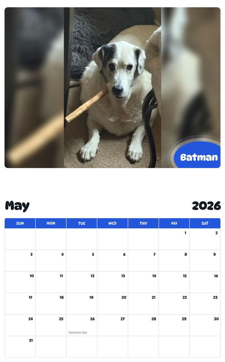 2026 - 2027 Batman - Pawidols Pet Calendar