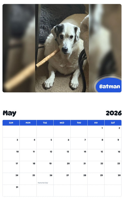 2026 - 2027 Batman - Pawidols Pet Calendar