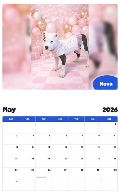 2026 - 2027 Nova - Pawidols Pet Calendar