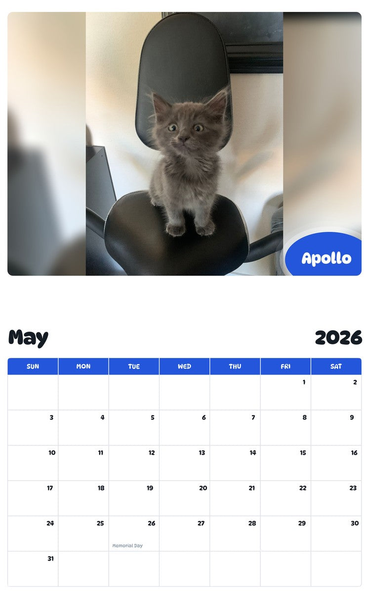 2026 - 2027 Apollo - Pawidols Pet Calendar