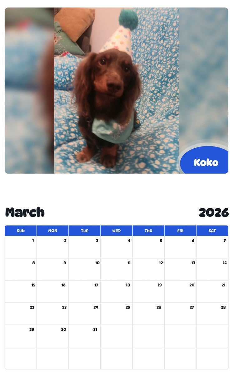 November 2025 - October 2026 Koko - Pawidols Pet Calendar