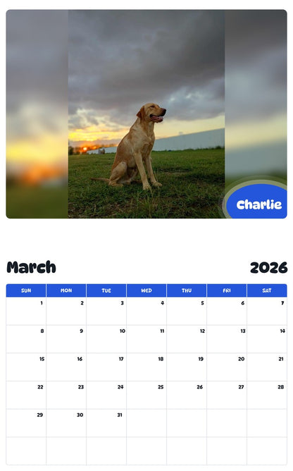 November 2025 - October 2026 Charlie - Pawidols Pet Calendar