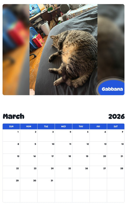 November 2025 - October 2026 Gabbana - Pawidols Pet Calendar
