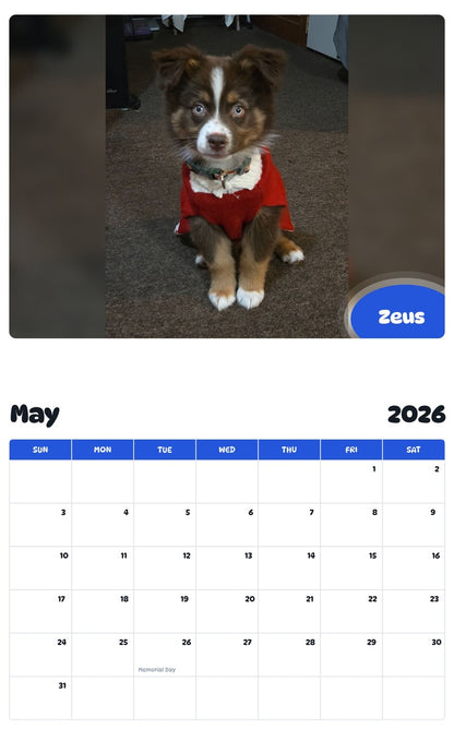 2026 - 2027 Zeus - Pawidols Pet Calendar