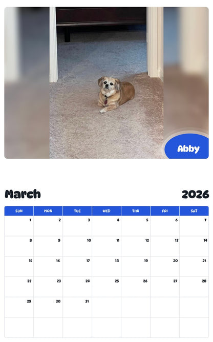 November 2025 - October 2026 Abby - Pawidols Pet Calendar