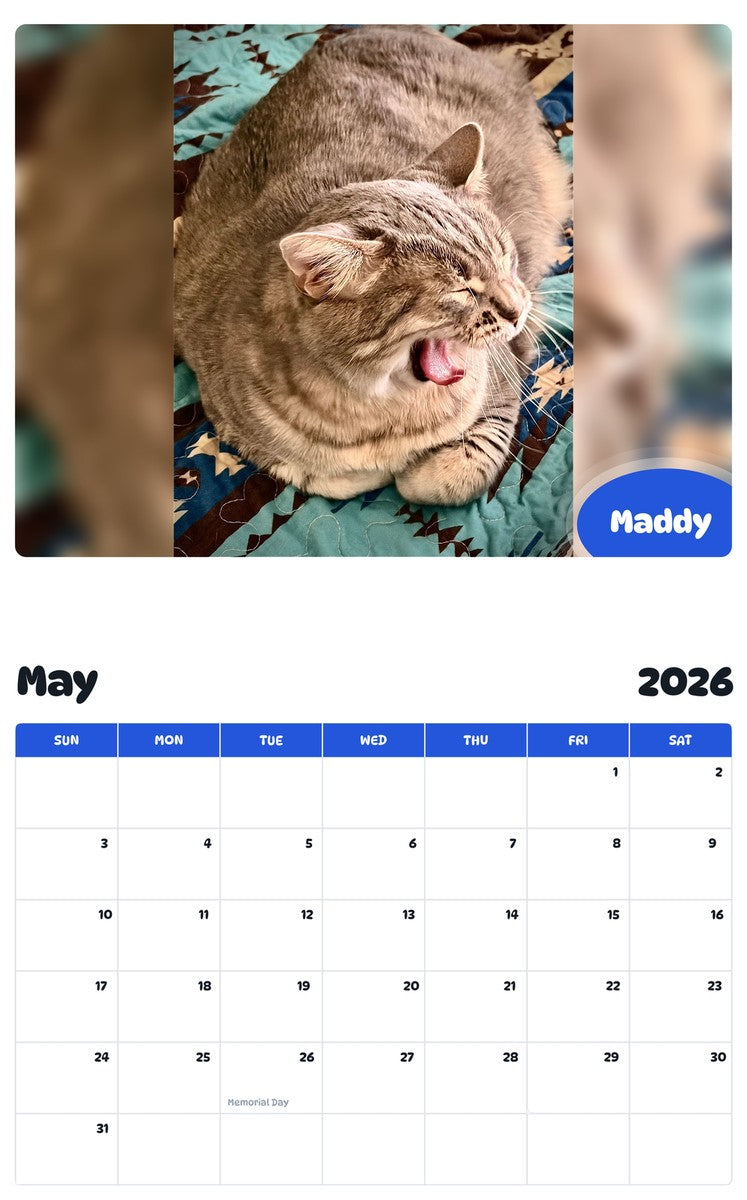 2026 - 2027 Maddy - Pawidols Pet Calendar