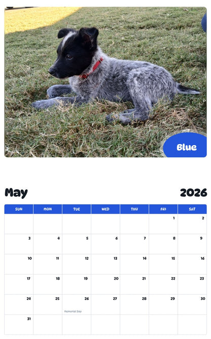 2026 - 2027 Blue - Pawidols Pet Calendar