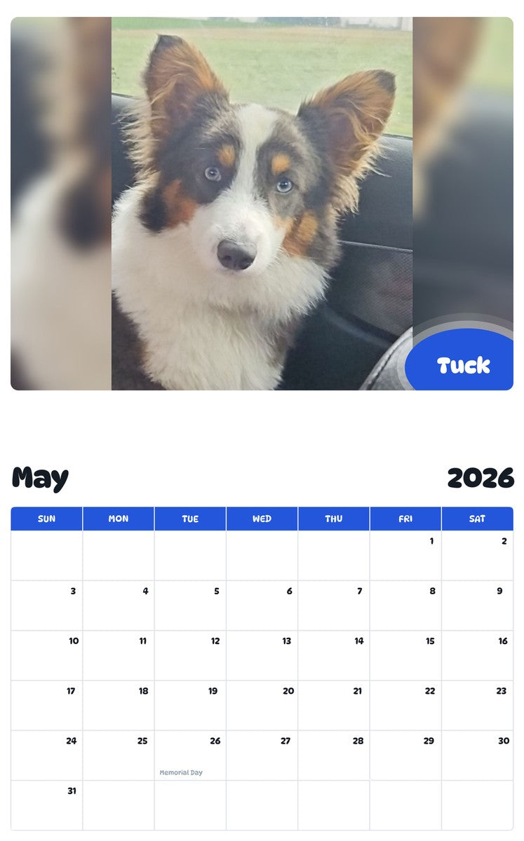 2026 - 2027 Tuck - Pawidols Pet Calendar
