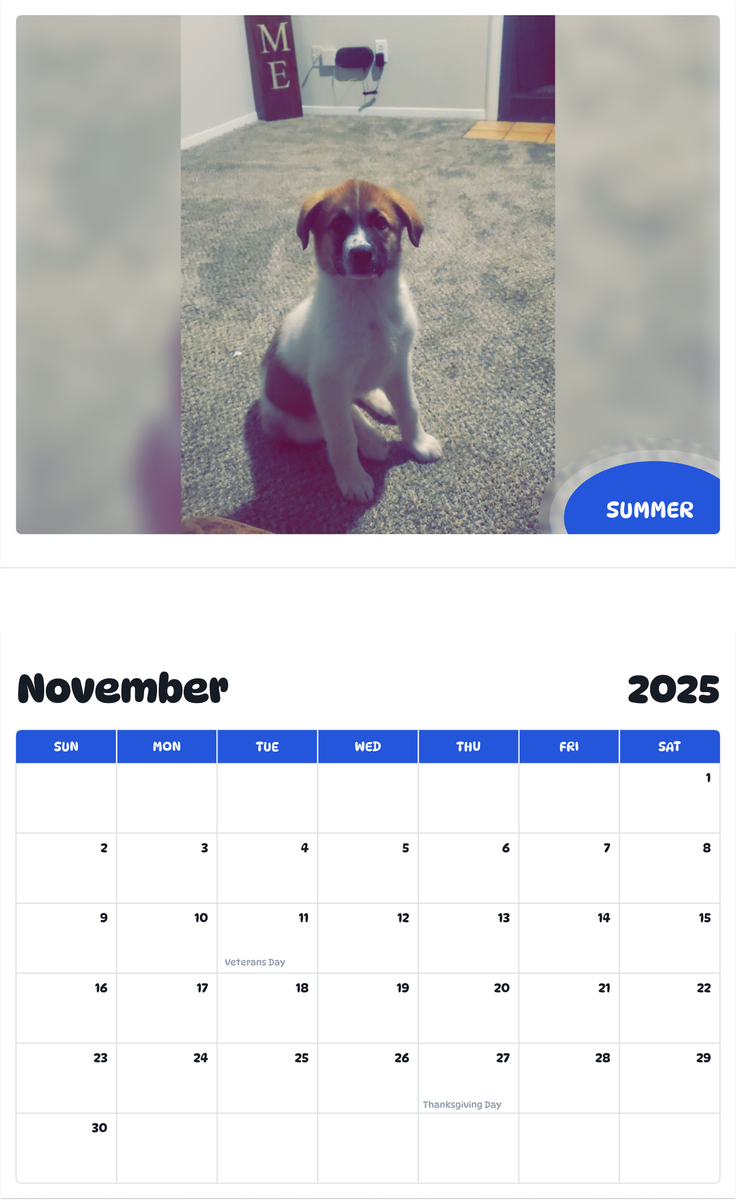 July 2025 - June 2026 Summer - Pawidols Pet Calendar