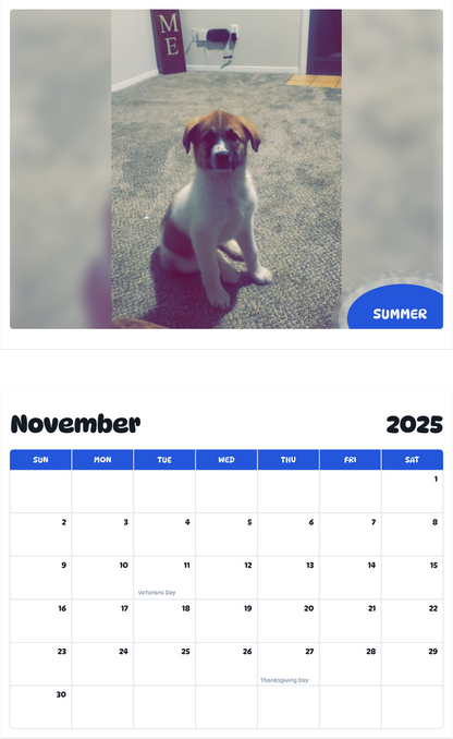 July 2025 - June 2026 Summer - Pawidols Pet Calendar