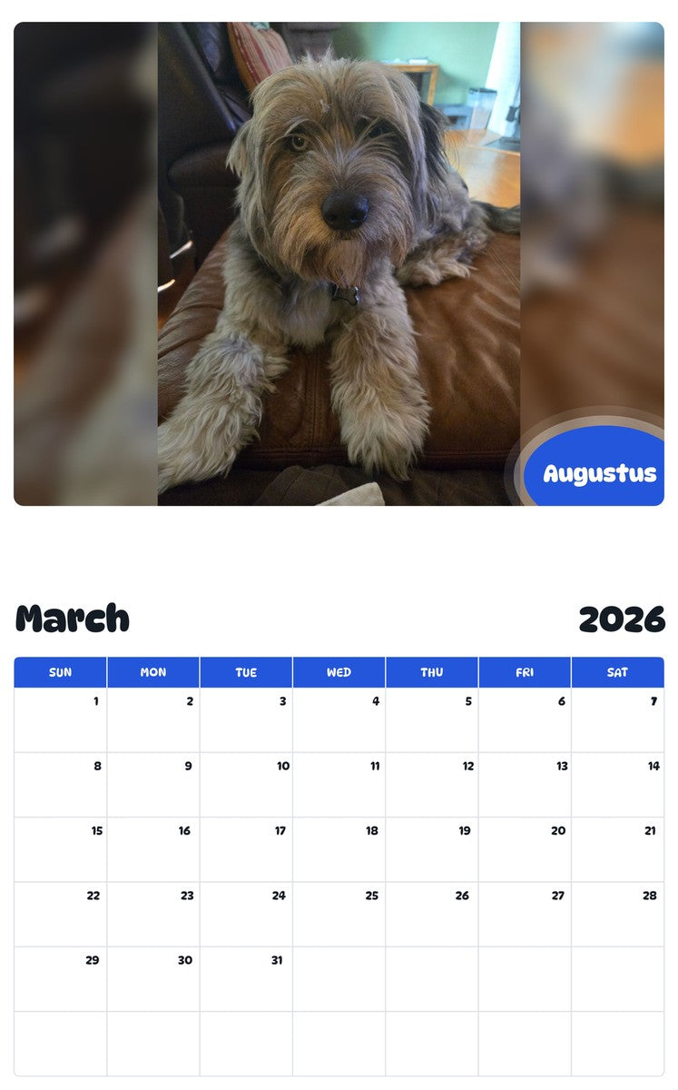 November 2025 - October 2026 Augustus - Pawidols Pet Calendar