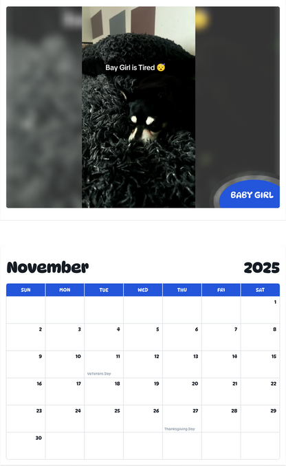 July 2025 - June 2026 Baby Girl - Pawidols Pet Calendar