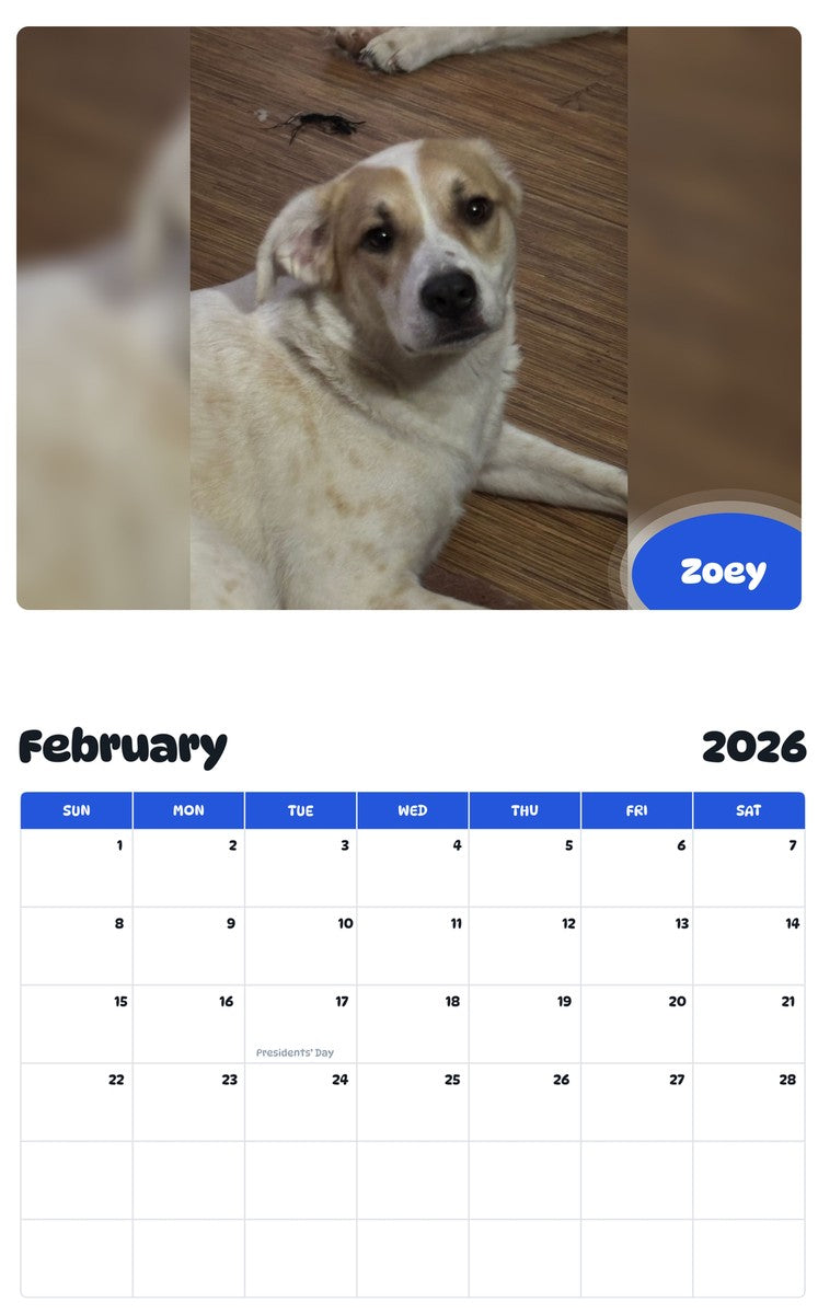 November 2025 - October 2026 Zoey - Pawidols Pet Calendar