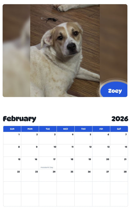 November 2025 - October 2026 Zoey - Pawidols Pet Calendar
