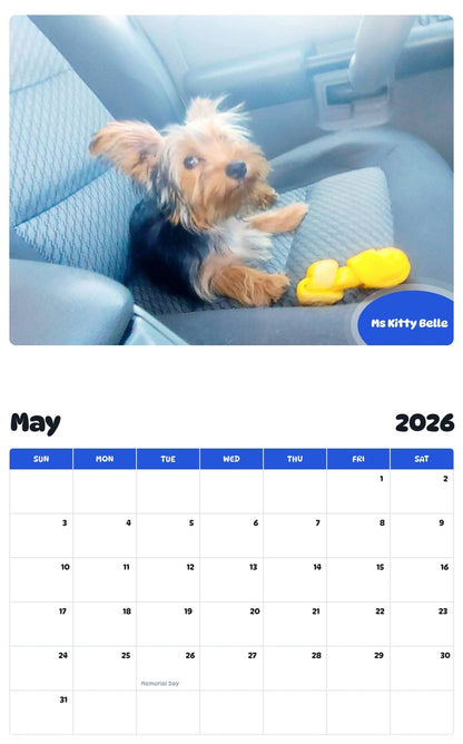 2026 - 2027 Ms Kitty Belle - Pawidols Pet Calendar