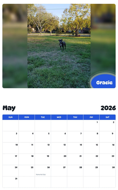 2026 - 2027 Gracie - Pawidols Pet Calendar