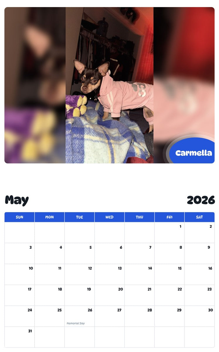 2026 - 2027 Carmella - Pawidols Pet Calendar