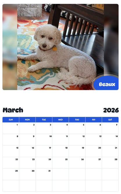 November 2025 - October 2026 Beaux - Pawidols Pet Calendar
