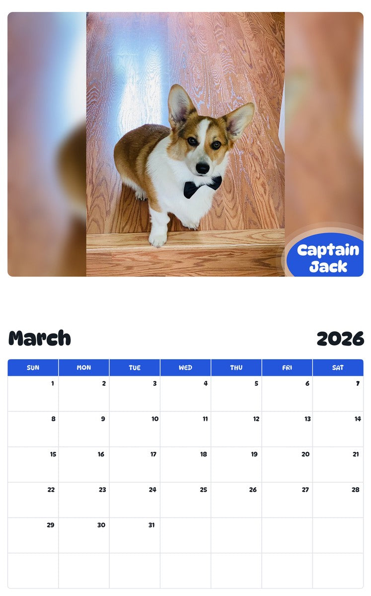 November 2025 - October 2026 Captain Jack - Pawidols Pet Calendar