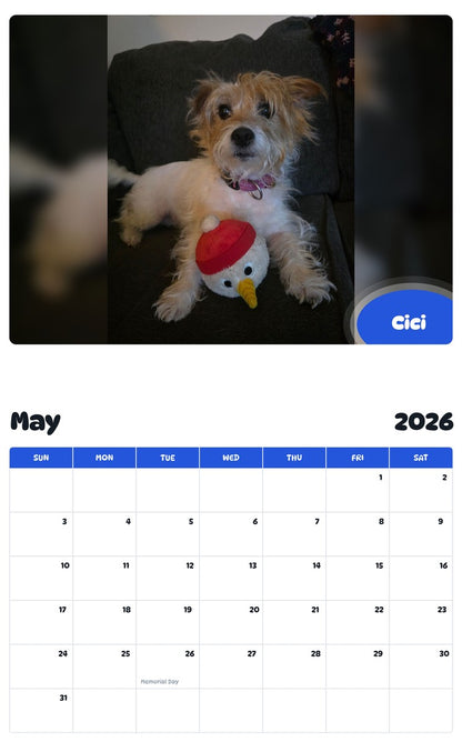 2026 - 2027 Cici - Pawidols Pet Calendar