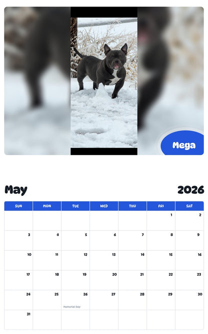2026 - 2027 Mega - Pawidols Pet Calendar