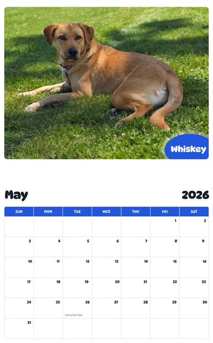 2026 - 2027 Whiskey - Pawidols Pet Calendar