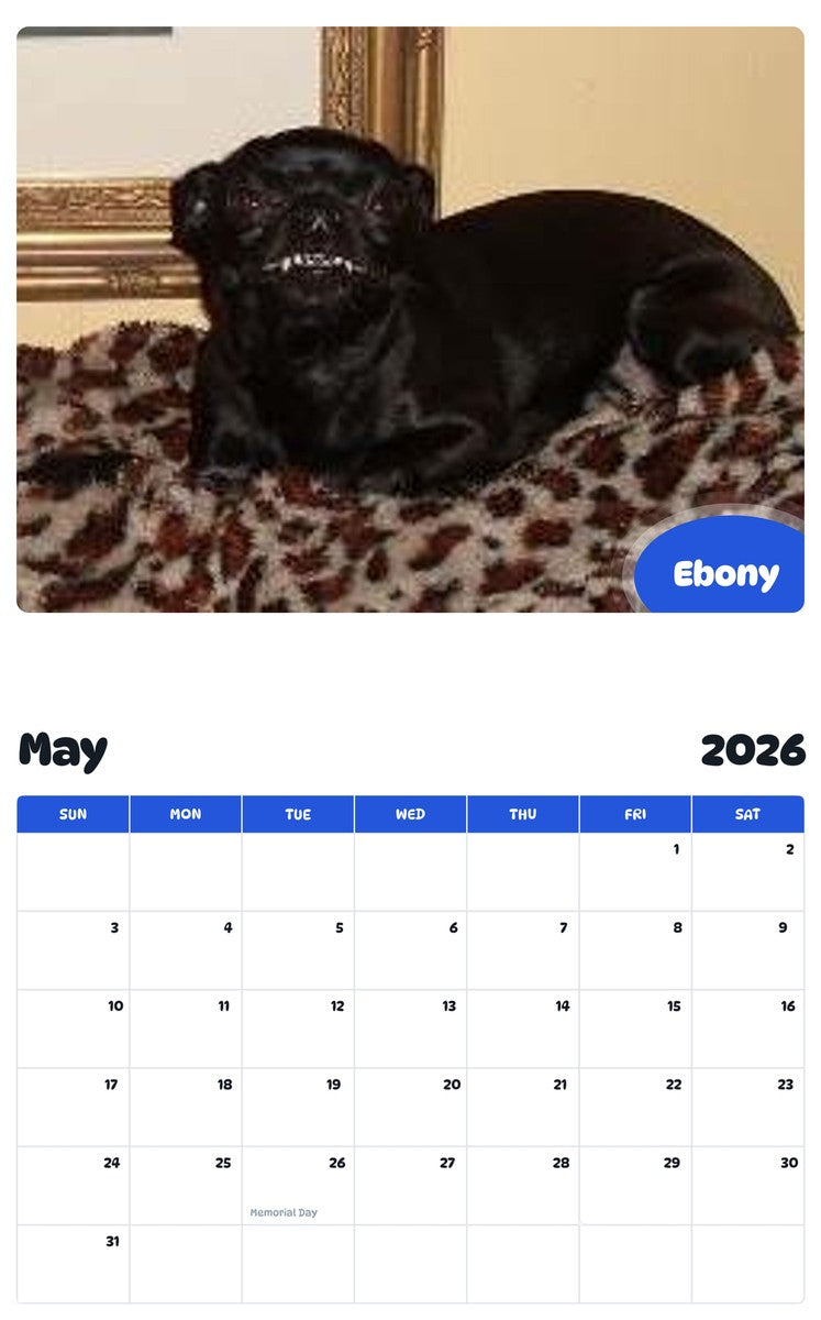 2026 - 2027 Ebony - Pawidols Pet Calendar