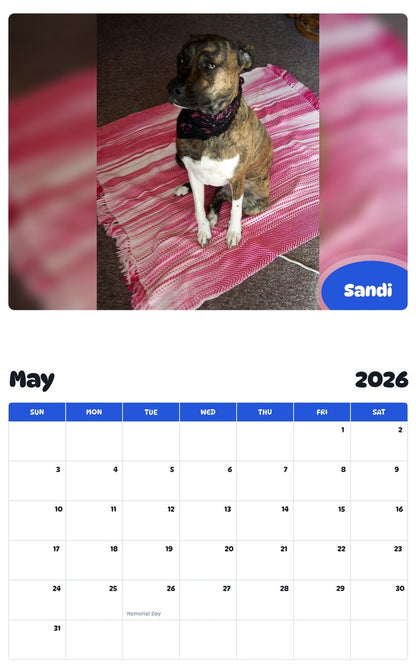 2026 - 2027 Sandi - Pawidols Pet Calendar