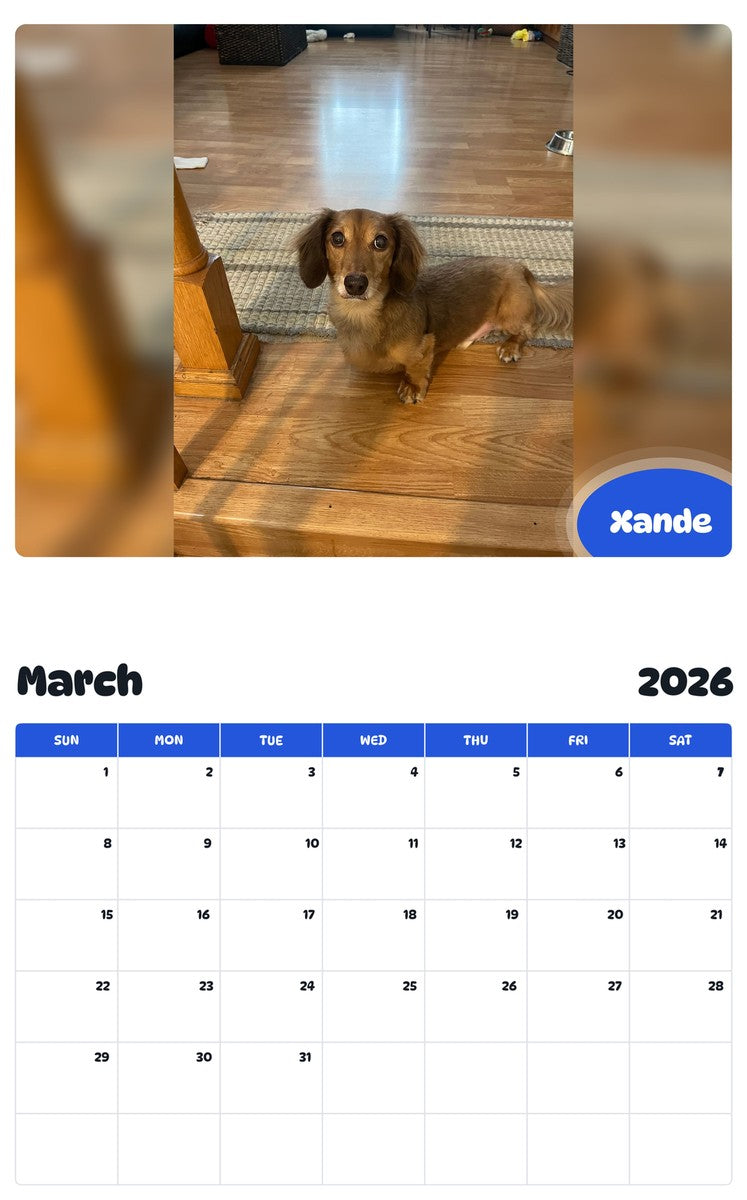 November 2025 - October 2026 Xande - Pawidols Pet Calendar