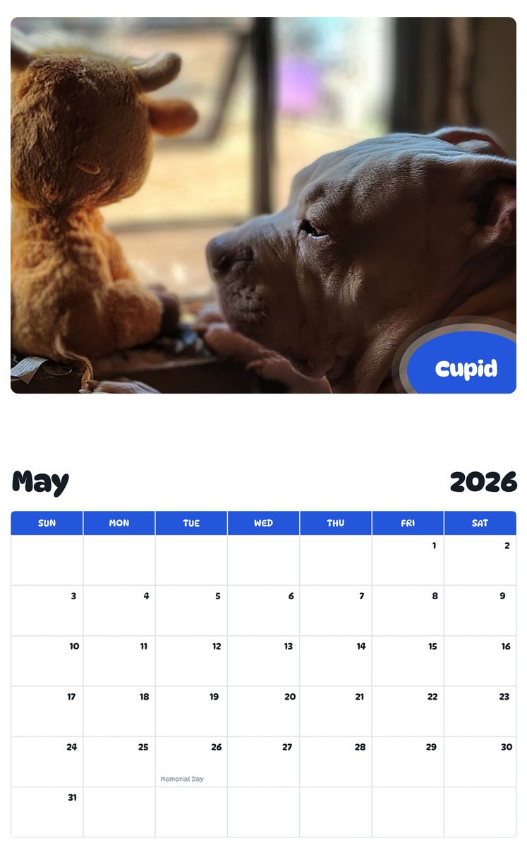 2026 - 2027 Cupid - Pawidols Pet Calendar
