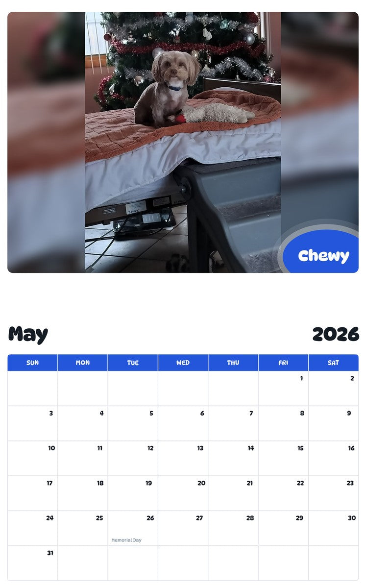 2026 - 2027 Chewy - Pawidols Pet Calendar