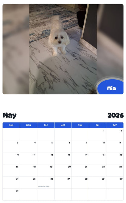 2026 - 2027 Mia - Pawidols Pet Calendar