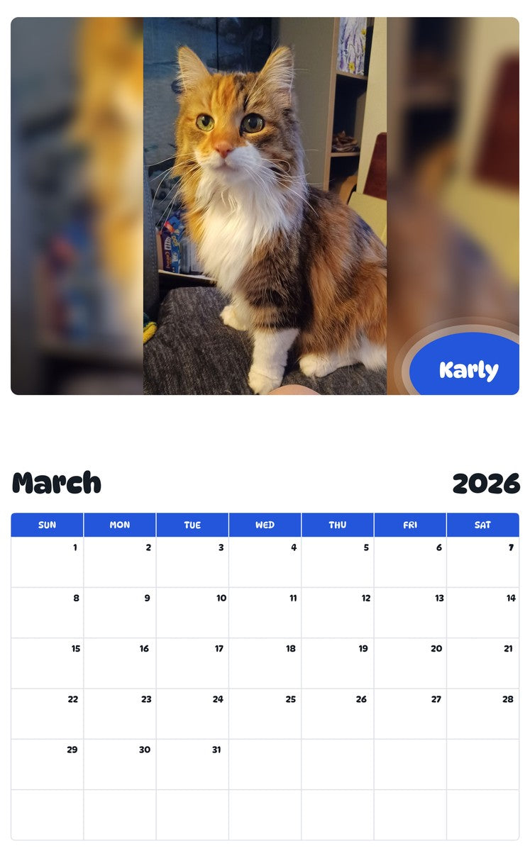 November 2025 - October 2026 Karly - Pawidols Pet Calendar