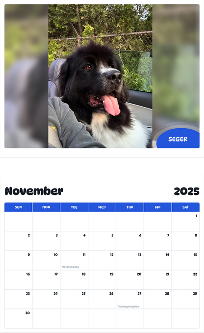 July 2025 - June 2026 Seger - Pawidols Pet Calendar